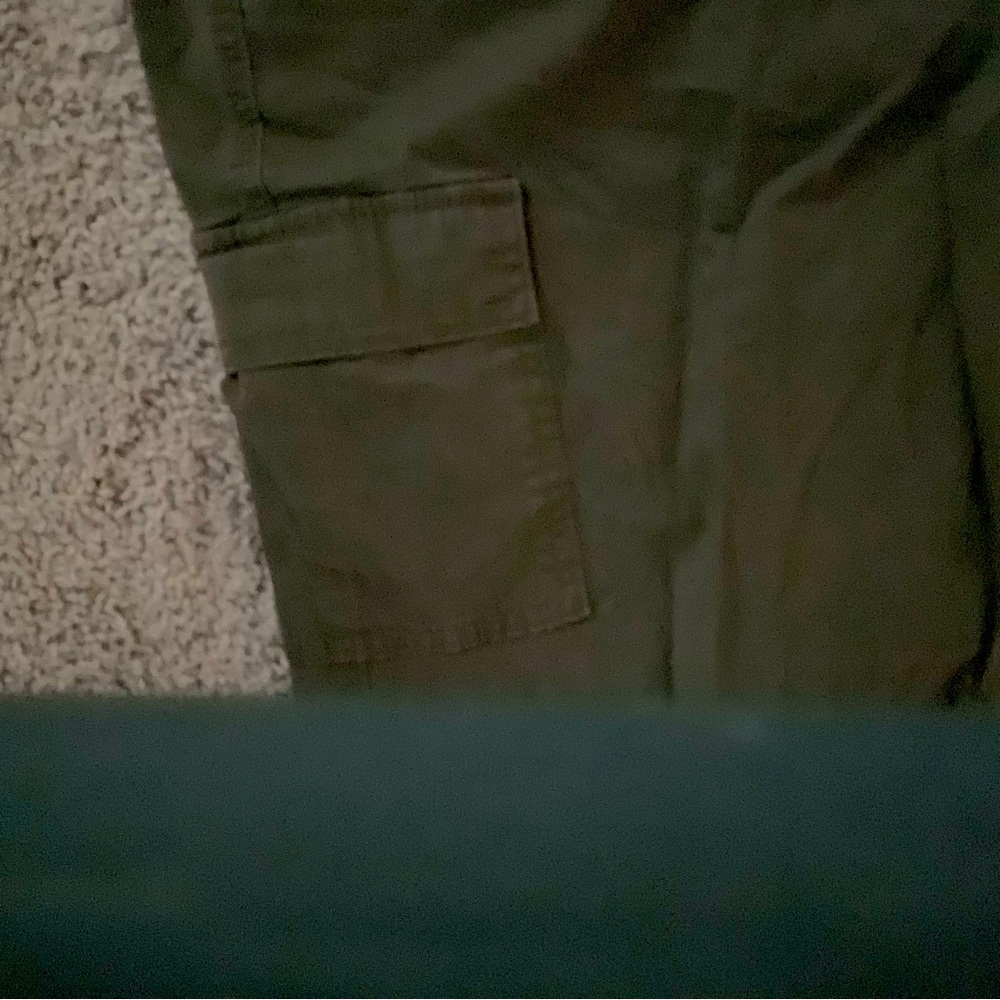Torrid Olive Cargo Pants